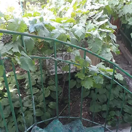Студия Со Всеми Удобствами. Guest house *