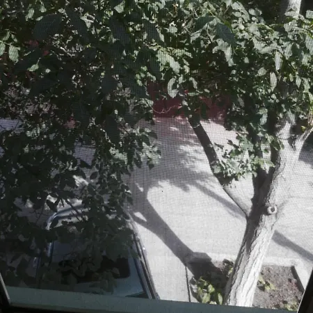 Guest house Студия Со Всеми Удобствами. *